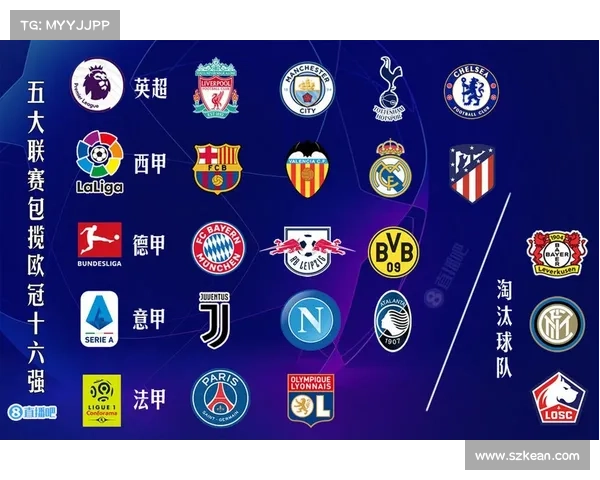 五大联赛对比：欧冠法甲英超意甲球队表现与竞争力分析
